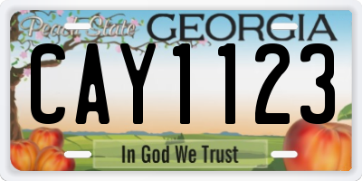 GA license plate CAY1123