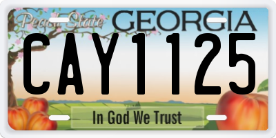 GA license plate CAY1125