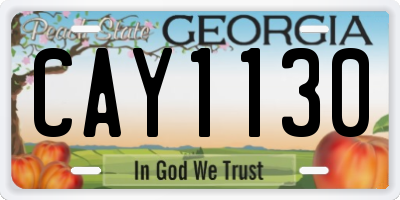 GA license plate CAY1130