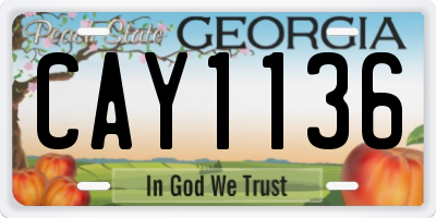 GA license plate CAY1136