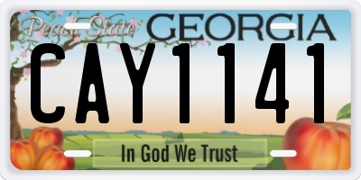 GA license plate CAY1141