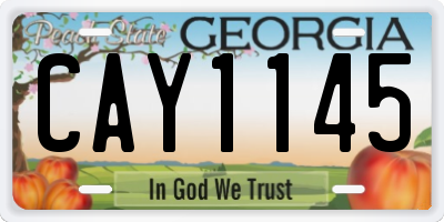 GA license plate CAY1145