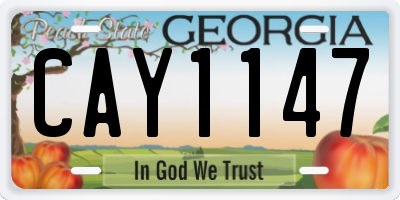 GA license plate CAY1147