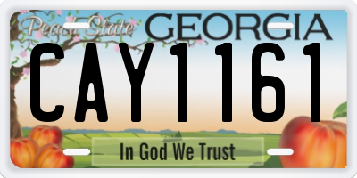 GA license plate CAY1161