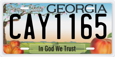 GA license plate CAY1165