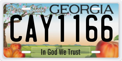 GA license plate CAY1166