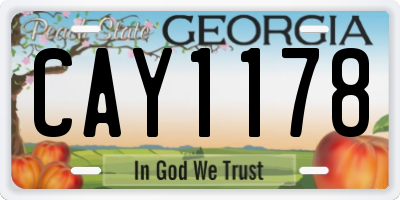 GA license plate CAY1178