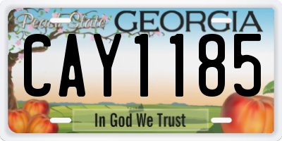 GA license plate CAY1185