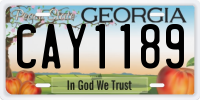 GA license plate CAY1189