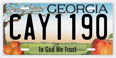 GA license plate CAY1190