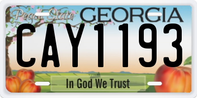 GA license plate CAY1193