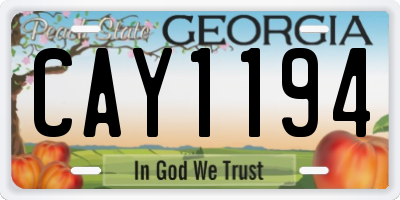 GA license plate CAY1194