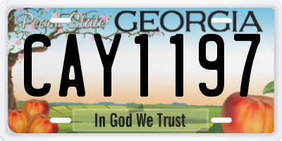 GA license plate CAY1197