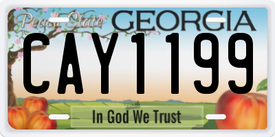 GA license plate CAY1199