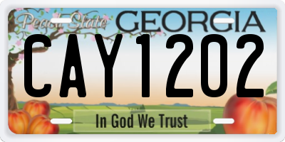 GA license plate CAY1202