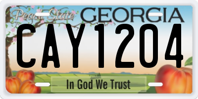 GA license plate CAY1204