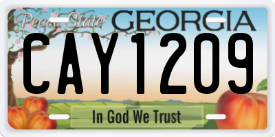 GA license plate CAY1209