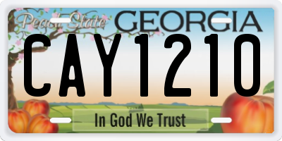GA license plate CAY1210