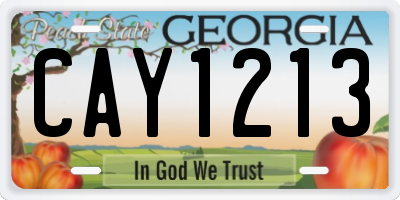 GA license plate CAY1213
