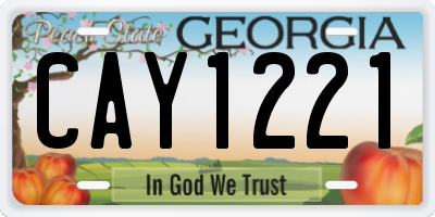 GA license plate CAY1221