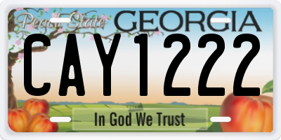 GA license plate CAY1222