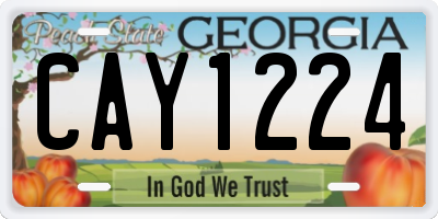 GA license plate CAY1224