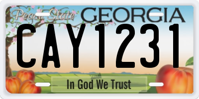 GA license plate CAY1231