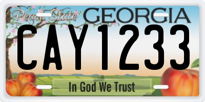 GA license plate CAY1233