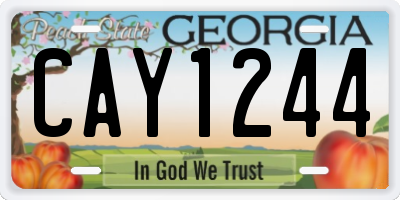 GA license plate CAY1244