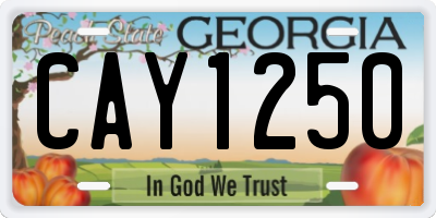 GA license plate CAY1250