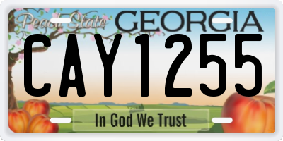 GA license plate CAY1255