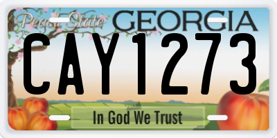 GA license plate CAY1273