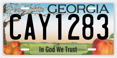 GA license plate CAY1283
