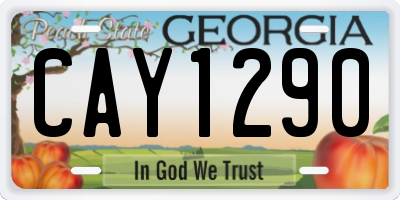 GA license plate CAY1290