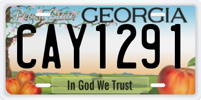 GA license plate CAY1291