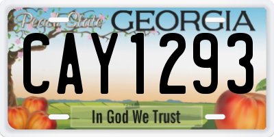 GA license plate CAY1293