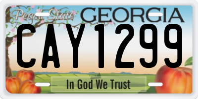 GA license plate CAY1299