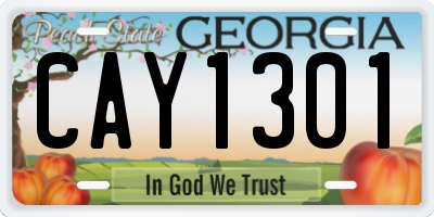 GA license plate CAY1301