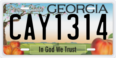 GA license plate CAY1314