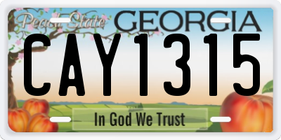 GA license plate CAY1315