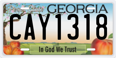 GA license plate CAY1318