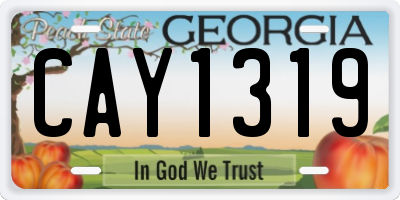 GA license plate CAY1319