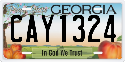 GA license plate CAY1324