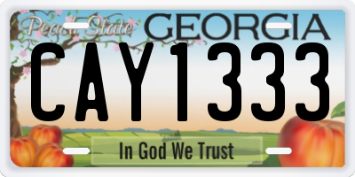 GA license plate CAY1333