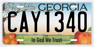 GA license plate CAY1340