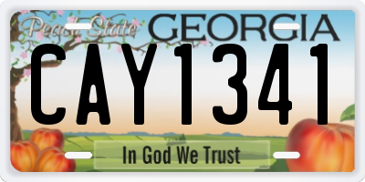 GA license plate CAY1341