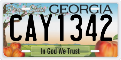 GA license plate CAY1342