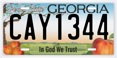 GA license plate CAY1344