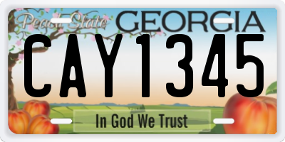GA license plate CAY1345