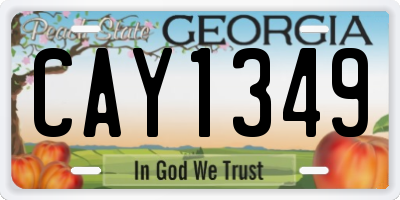 GA license plate CAY1349